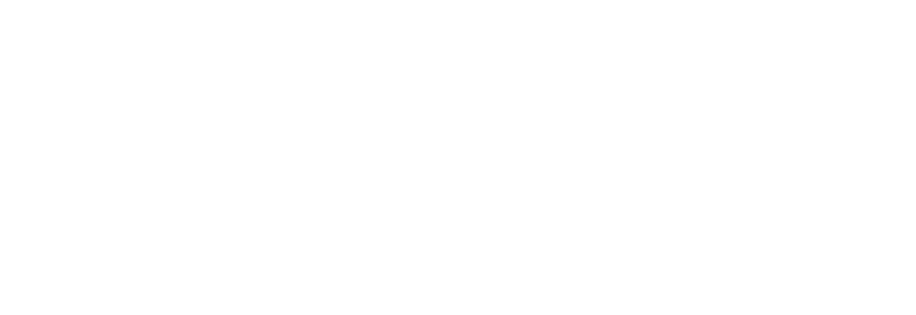 SPINCap